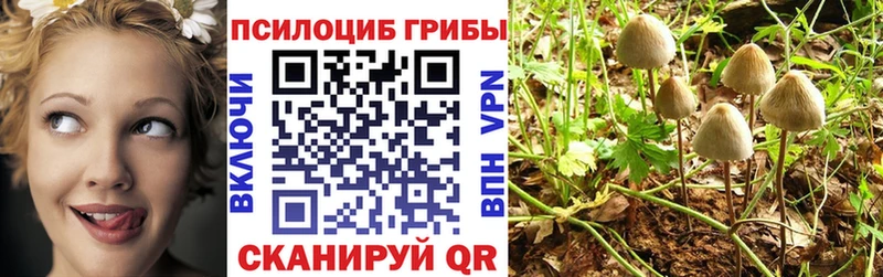 Галлюциногенные грибы мухоморы  Солигалич 